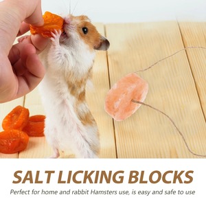 Bloc de sel pour animaux de compagnie sculpté de fleurs pour cochons d'Inde Hamsters autres animaux décoration de la maison jouets à lécher salin minéral - Product Image 2