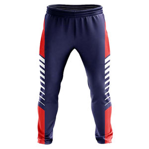 2024 Hochwertige Custom New Design Cricket Jersey Hose Bester Preis OEM Cricket Uniformen mit Sublimation - Product Image 6