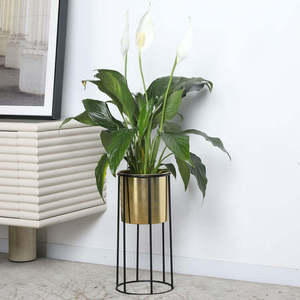 กระถางต้นไม้โลหะที่มั่นใจได้ในคุณภาพดีไซน์ทันสมัยสำหรับตกแต่งสวน - Product Image 1