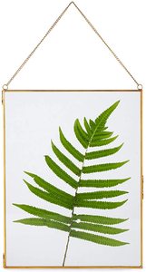 Cadre suspendu en laiton de décoration murale transparente octogonale pour l'affichage de fleurs séchées de plantes pressées pour la décoration - Product Image 5