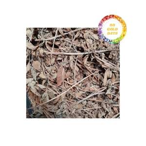 Feuilles de gelée d'herbe noire en vrac, exportées du Vietnam, approvisionnement direct, grande quantité, feuilles fraîches de qualité supérieure disponibles - Product Image 4