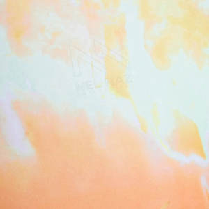 Leggings sin costuras para mujer con logotipo personalizado servicio directo de fábrica OEM color liso a la venta - Product Image 6