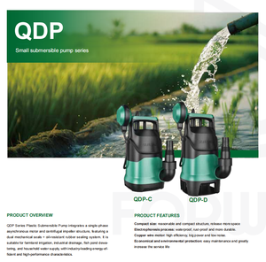 Pompes en plastique <span class=keywords><strong>pour</strong></span> le <span class=keywords><strong>jardin</strong></span> <span class=keywords><strong>Puits</strong></span> profond QDP Prix des eaux usées Bombas <span class=keywords><strong>De</strong></span> Agua Irrigation agricole Eau inoxydable <span class=keywords><strong>Pompe</strong></span> électrique submersible - Product Image 3