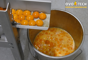 Rompehuevos OVO-TECH RX-6, Capacidad de 39000 Huevos por Hora, Cuerpo de Acero Inoxidable 304, Máquina Automática para Romper Huevos - Product Image 5