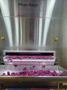 แก้วมังกรแช่แข็งที่สวยงามส่งออกทั่วโลกพร้อมส่ง - Product Image 5