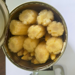 Exportation de légumes en conserve du Vietnam Maïs bébé de haute qualité en saumure - Product Image 5