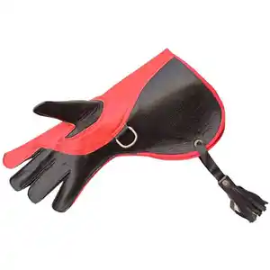 2024 Falconry Gloves Natural Shiny Nu-buck Leather for Birds Eagle左手ロングby Standard International