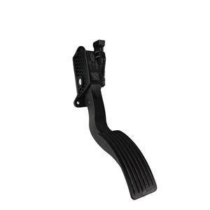 Serie DR 6.0 (22>) PEDALE ACCELERATORE 204000516AA - Product Image 1