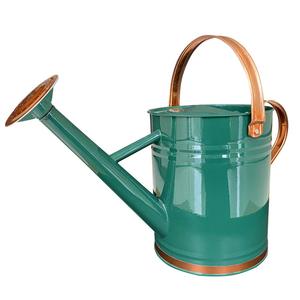 Super Quality Iron Metal <b>Watering</b> <b>Can</b> Manufacturer Custom Design Green Plant <b>Watering</b> <b>Can</b> <b>wholesale</b> manufacturing supplier - Product Image 1