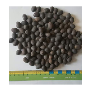 Semillas de loto negras secas de alta calidad al por mayor-Semillas de loto negras secas de la mejor calidad, Semillas de loto negras/blancas secas tropicales - Product Image 5