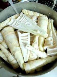 POUSSES DE BAMBOU EN CONSERVE VIETNAMIENNE FRAIS SAVEUR NATUREL ALIMENTAIRE TOP VIETNAM QUALITÉ MEILLEUR PRODUIT - Product Image 4