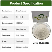 Poudre d'enzyme bêta-glucanase de qualité alimentaire 100 000 U/g pour l'alimentation animale et la brasserie