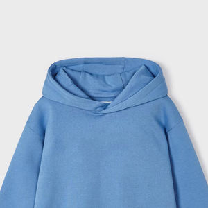 100% algodón niños invierno pulóver Sudadera con capucha logotipo bordado personalizado tejido de rizo para bebés - Product Image 5