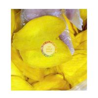 Vietnam Natuurlijke Zachte Gedroogde Mango Chips Suikervrij Goede Smaak Tropisch Fruit Fd Droogproces Bulkverpakking Groothandel