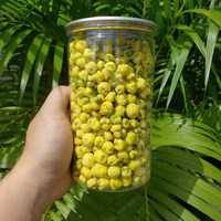 Camilan Kacang Hijau Rasa Durian yang Dapat Disesuaikan Sekarang Sedang Diskon dengan Kemasan Kantong Menarik Diproses dari Pemasok Vietnam