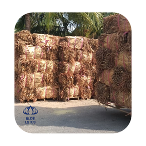 Matière première de fibre de jacinthe d'eau séchée pour diverses applications - Product Image 4