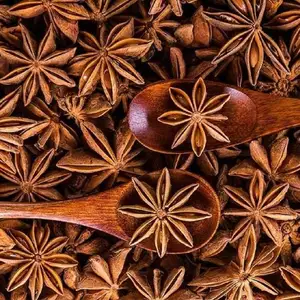 Canh dan Anise Vietnam Star Anise Food Ingredients Flavor Making Wholesale (Anis Estrellado)