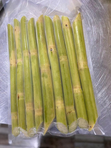 <b>Frozen</b> Sugarcane Stick Prepared for Beverage and Juice Operations - Product Image 4