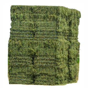 Vente en gros de foin de luzerne de qualité supérieure pour l'alimentation des animaux foin de luzerne foin de Timothy prix discount meilleure vente - Product Image 6