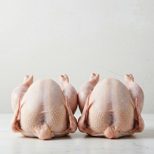 จำหน่ายไก่แช่แข็งออร์แกนิคทั้งตัวแบบขายส่ง พร้อมวิตามิน บรรจุภัณฑ์แบบรวมสำหรับผู้ซื้อในอุตสาหกรรมอาหาร ร้านค้าปลีก และตลาดระดับโลก - Product Image 4