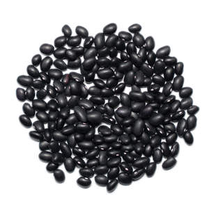 Premium Black <b>Beans</b> Bulk Black <b>Beans</b> Fresh Natural Healthy Organic Top Quality Available For Wholesale - Product Image 4