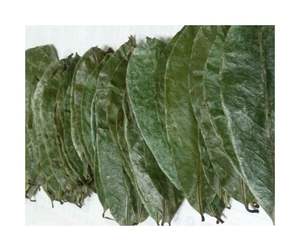 ใบทุเรียนเทศแห้งแท้มีปริมาณฝุ่นน้อยและทุเรียนเทศแห้งสีเขียวรื่นรมย์สำหรับคนรักชา - Product Image 3