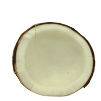 Coco fresco rico en proteínas Volumen 250 a 300 ml por pieza Cocos jóvenes frescos Forma de diamante Forma pulida