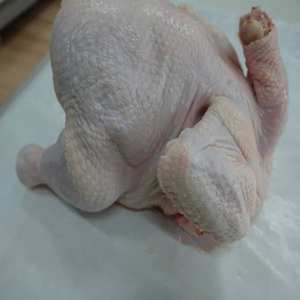 เท้าไก่แช่แข็งแช่แข็งทั้งตัวไก่แช่แข็ง - Product Image 6