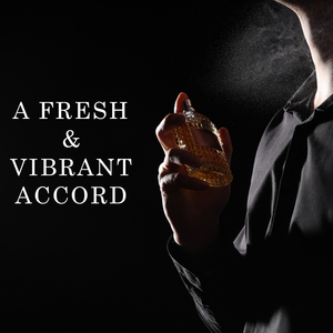 Perfume natural para hombre con olor agradable de etiqueta privada, Perfume natural para hombre y fragancia, espray corporal, proveedor de perfumes superventas - Product Image 2