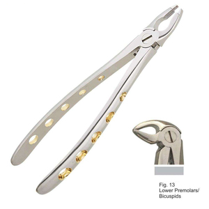 Fórceps de extracción Premolar inferior Bicúspides Instrumentos de laboratorio dental de ortodoncia Acero inoxidable al por mayor - Product Image 1