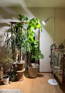 Meilleure vente Supports de lampe LED réglables Bases Matériel PC Matériel d'éclairage Support de bras flexible Trois supports de lampe Bases - Product Image 6