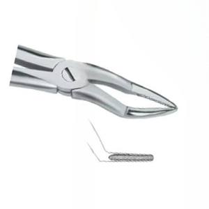 Forceps d'extraction de dents Fig.51 A Diam Instruments dentaires en acier inoxydable de haute qualité avec logo personnalisé de haute qualité - Product Image 4