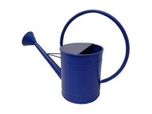 Arrosoir en métal pour plantes de jardin, pot d'arrosage décoratif d'intérieur et d'extérieur, outil de jardinage en fer fait à la main pour la maison, le balcon, la pelouse - Product Image 6