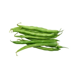 High sprouting rate green mung bean Green gram seeds Mung bean for sale Mung Beans Moong Dal cheap price