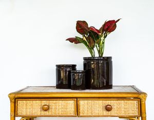 [Leo Nguyen Le] - Venta al por mayor de macetas de cerámica esmaltada para interiores/exteriores / macetas de cerámica para decoración del hogar y jardinería - Product Image 4