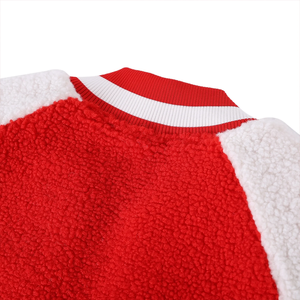 Veste Bomber Sherpa Réversible Delta Premium Bicolore Tendance Universitaire Fraternité Grecque avec Texture Polaire et Logo Avant Printemps - Product Image 4