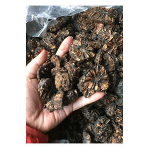 ผลไม้อบแห้งจากเวียดนาม/มอร์นดาซิทริโฟเลียผลิตภัณฑ์จากเวียดนาม/ผลไม้อบแห้งแบบโนนิ - Product Image 1