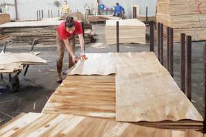 Placage de noyau d'eucalyptus/caoutchouc brut 100% fabriqué au Vietnam à bas prix - Product Image 5