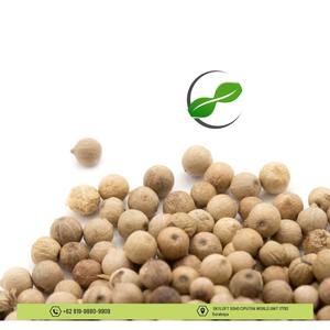 Pimienta Blanca Entera de Primera Calidad, Herencia de Indonesia, Especia Asiática Natural, Hierbas Individuales para Cocinar, Procesamiento Crudo Seco - Product Image 4