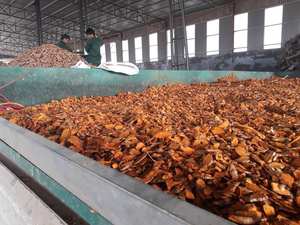 Fourniture en gros d'épices de haute qualité curcuma entier séché doigt de curcuma frais - Product Image 3