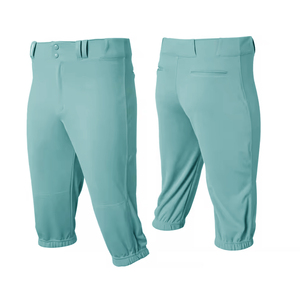 Pinstripe Baseball Pant Unisex Adult Softball Pant Plus Size Customizable - Product Image 3