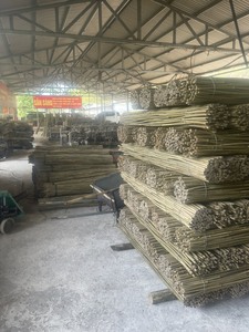Piquets en bambou traités sur mesure pour pépinière, directement du fabricant - Product Image 6