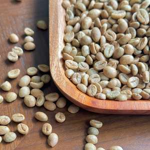 Les grains de café vert Robusta préférés de torréfacteur des fermes de confiance du Vietnam Grains de café de qualité supérieure - Product Image 1