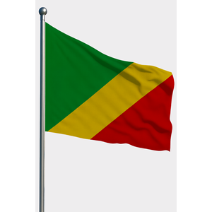 Custom 3x5ft Republic of Congo Outdoor <b>Flag</b> Digital Printed Pennant with Aluminum <b>Pole</b> Nylon and Plastic Material Custom Logo - Product Image 1