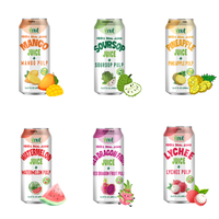 Échantillon gratuit et services OEM 490ml boisson au jus de mangue avec pulpe-Fabricant Vinut Vietnam, marque privée, prix de gros