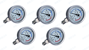 Manómetro de Acero Inoxidable Lleno de Líquido, 16 Bar, 230 PSI, 60 mm, 1/4 NPT, Montaje Inferior, IP65, para Bomba Hidráulica de Agua, Aire y Aceite - Product Image 2