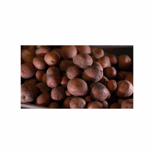 Nueva cosecha Patatas frescas amarillas orgánicas Precio barato de alta calidad Mayoristas de exportación Patatas frescas - Product Image 3