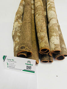 หลอดอบเชย Kayu Manis ขายส่ง zimtstange หลอดอบเชยแบบส่งตรงจากผู้ผลิตในเวียดนาม - Product Image 2