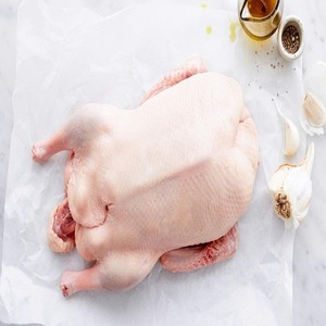 Compre al por mayor carne de pato entera congelada de calidad premium lista para exportación entrega rápida para restaurantes y minoristas - Product Image 6