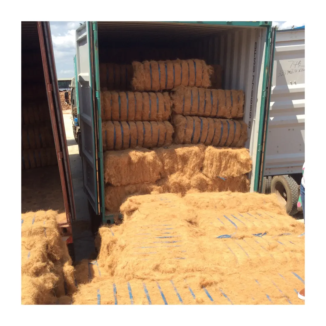 Coconut fiber for mattress production cheapest price wholesale large quantity premium coco coir ready to ship